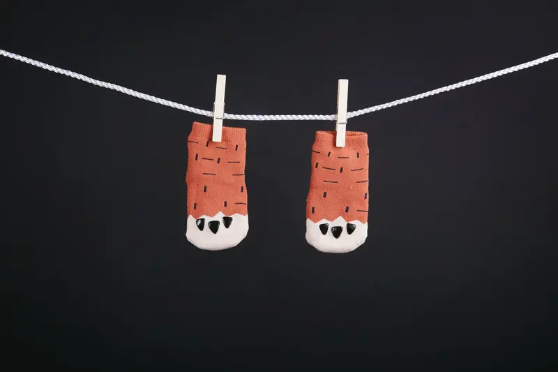 Adorable Puppy Paw Print Cotton Socks 1