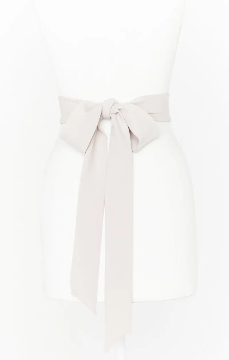 Bridesmaid Show Me The Ring Stretch Sash 1