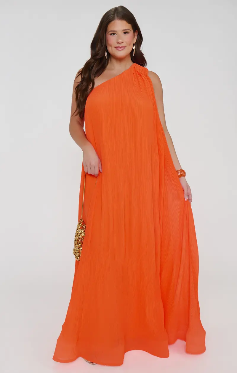 Edina Maxi Dress In Spritz Print – Elegant Long-Sleeve Summer Gown 1