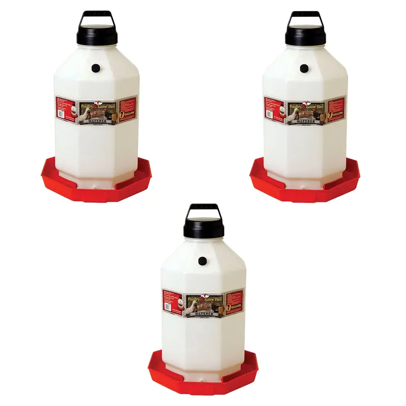 Little Giant Ppf7 Automatic Poultry Waterer – 7-Gallon, Red (3-Pack) 1