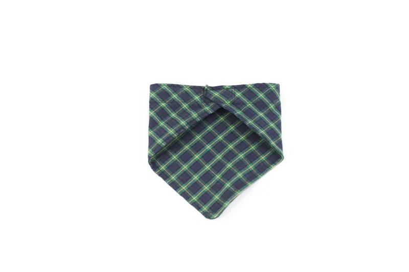 Plaid Bandana – Back View 1