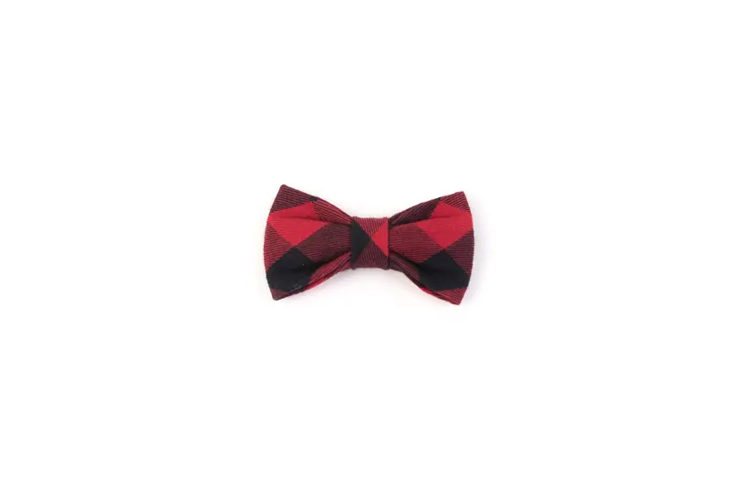 Plaid Kitten Bowtie 1