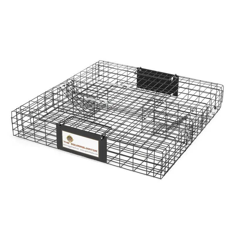 Rugged Ranch Sqr Two-Door Live Animal Trap – Heavy-Duty Metal Squirrel & Chipmunk Cage, Used 1